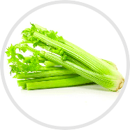 Celery